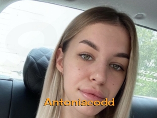 Antoniacodd