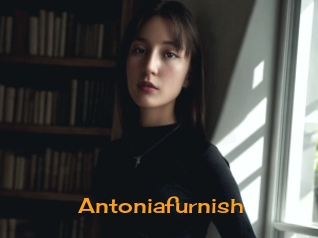 Antoniafurnish