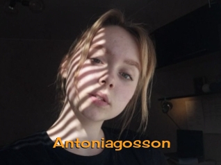 Antoniagosson