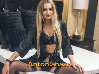 antoniahaart Sortez Couvert