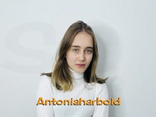 Antoniaharbold