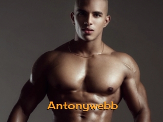 Antonywebb
