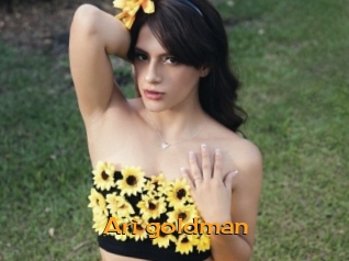 Ari_goldman