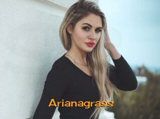 Arianagrass