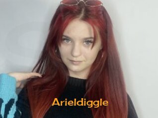 Arieldiggle