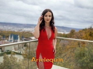 arielequin Sortez Couvert