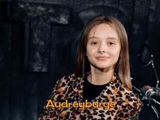 Audreyburge