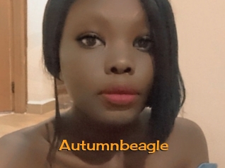 Autumnbeagle