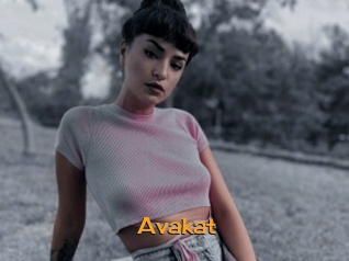 Avakat