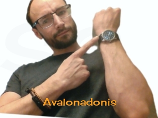 Avalonadonis