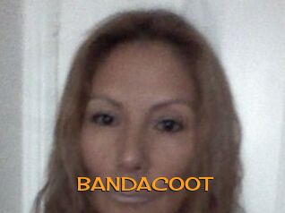 BANDACOOT