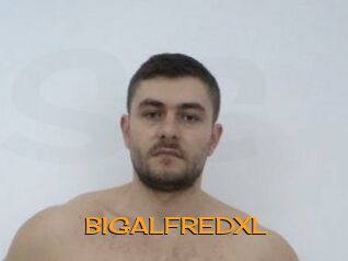 BIGALFREDXL