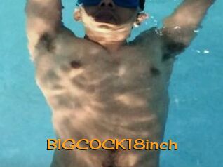 BIGCOCK18inch
