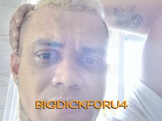 BIGDICKFORU4