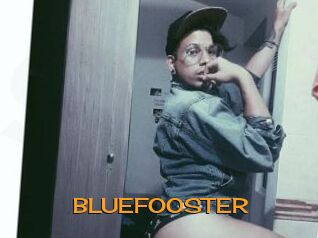 BLUEFOOSTER