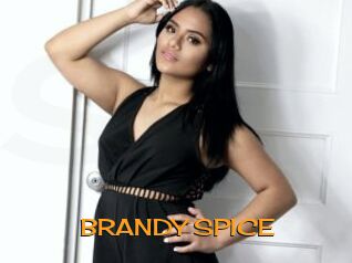 BRANDY_SPICE