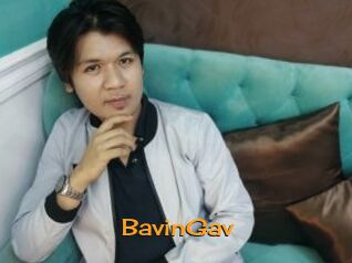 BavinGav