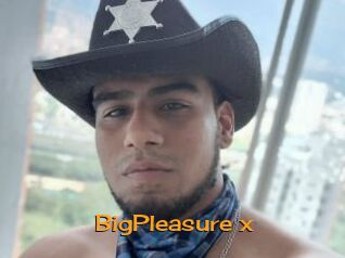 BigPleasure_x
