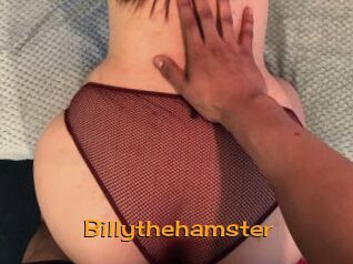 Billythehamster