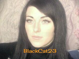 BlackCat23