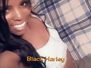 Black_Harley