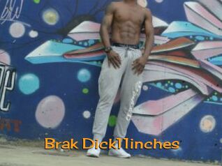 Brak_Dick11inches