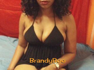 BrandyBoo