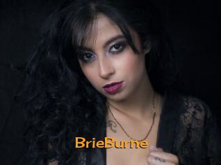 BrieBurne Sortez Couvert