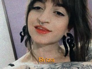 Briza