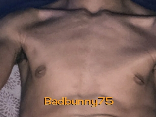 Badbunny75