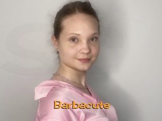 barbacute Sortez Couvert