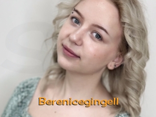 Berenicegingell