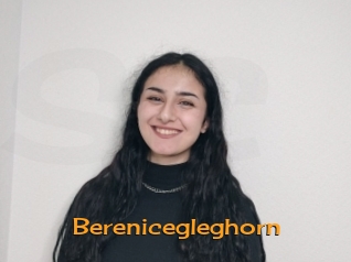 Berenicegleghorn