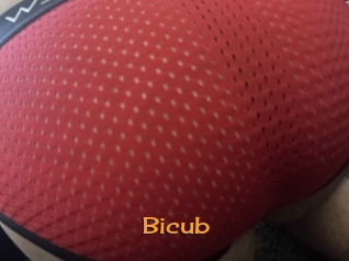 Bicub