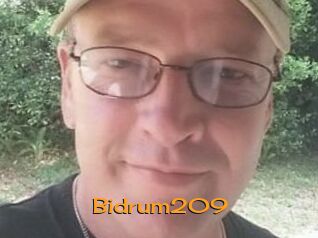 Bidrum209