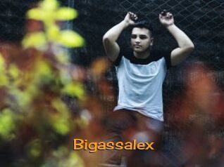 Bigassalex
