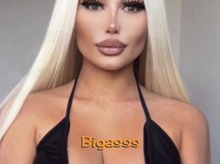 bigasss Sortez Couvert