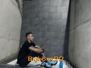 Bigboss22
