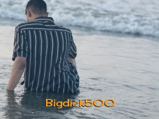 Bigdick500