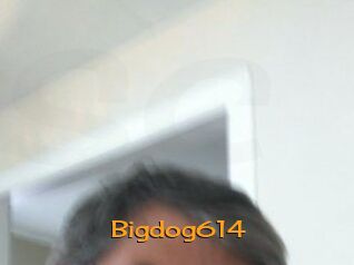 Bigdog614