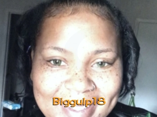 biggulp18 Sortez Couvert
