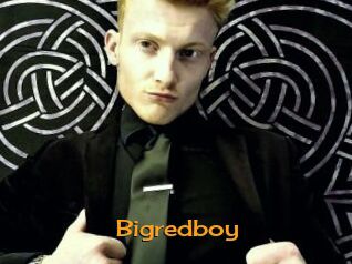 Bigredboy