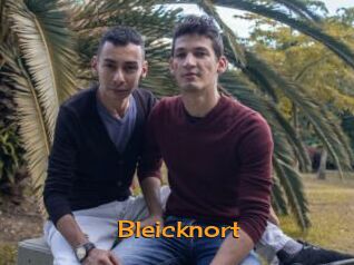Bleicknort