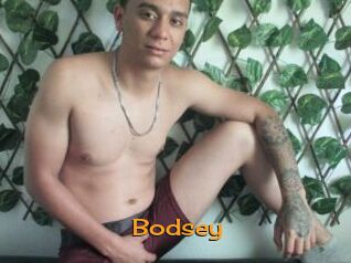 bodsey Sortez Couvert