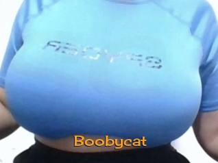 Boobycat