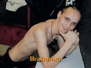 Bradmitch