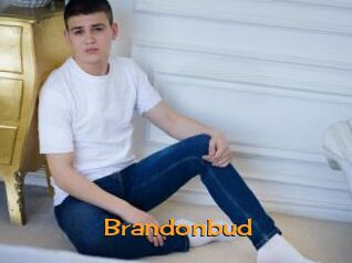 Brandonbud