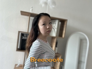 Breecoote