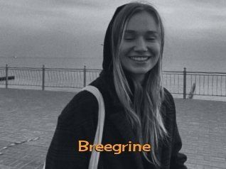 Breegrine