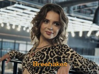 Breehakes